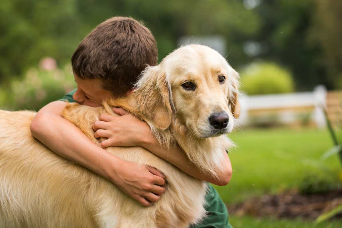 Melhores Raças de Cachorros para Crianças