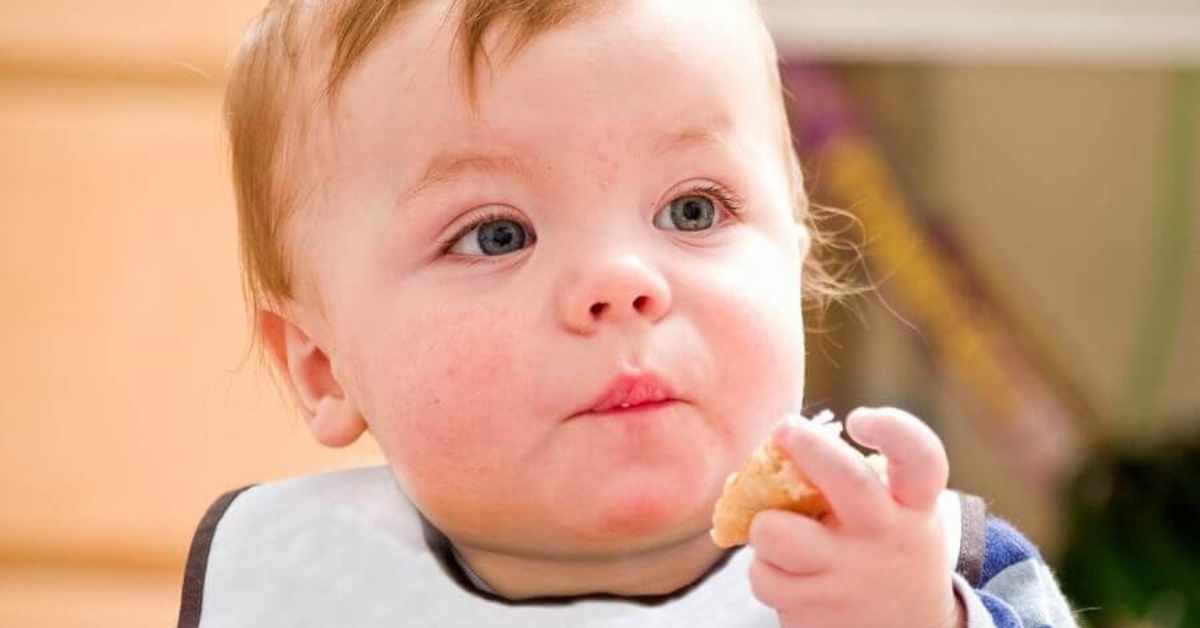 Criança Pode Comer Biscoito Montanha Russa de Polvilho?